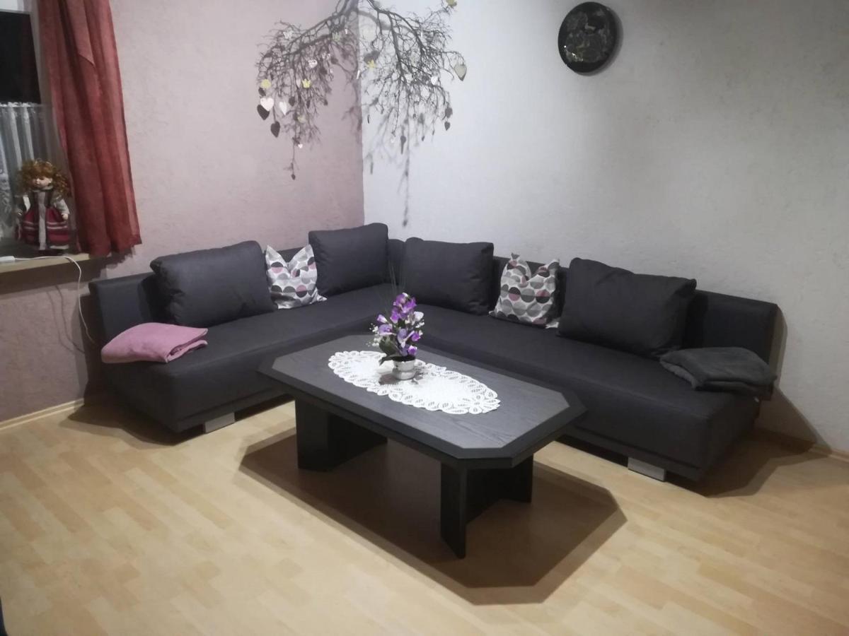 Ferienwohnung Preuss Martinlamitz 外观 照片